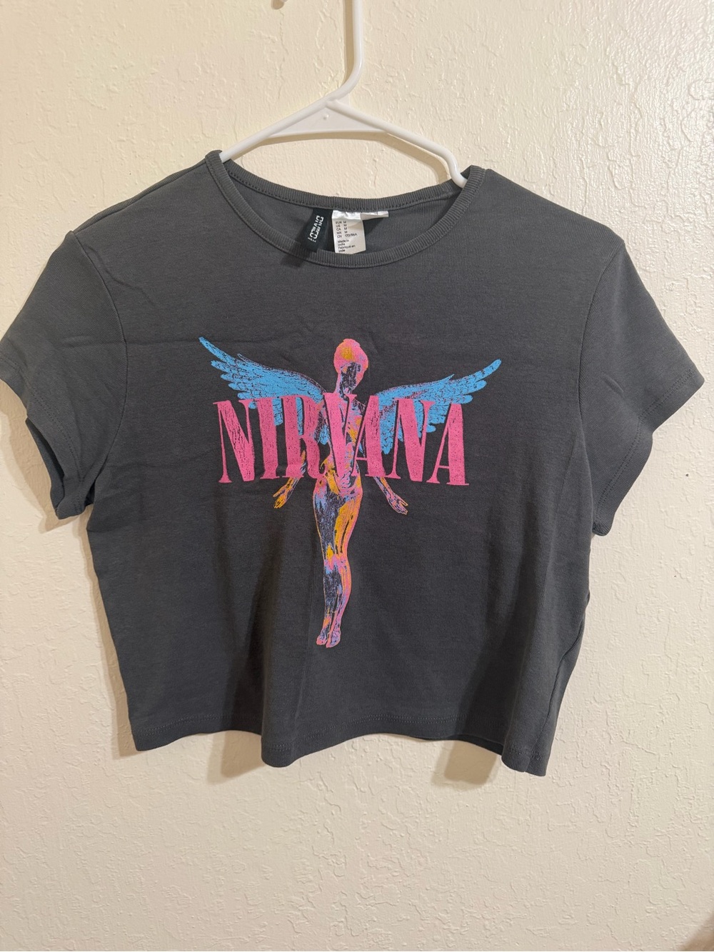 Nirvana Crop Top Band Tee